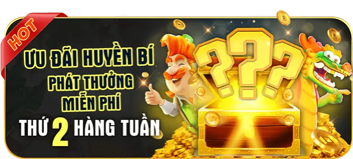 Dealer chuyên nghiệp
